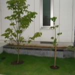 植栽