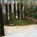 アプローチと植栽