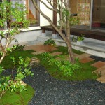 敷石と苔のコントラスト