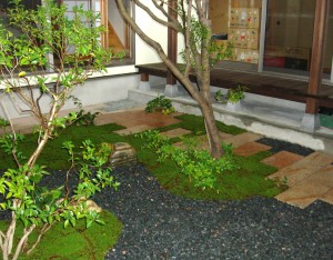 敷石と苔のコントラスト