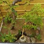 上方向から見たつくばい