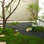 苔生す坪庭