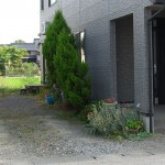 ビフォア1