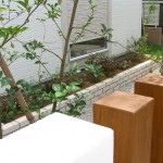 地窓から見る花壇