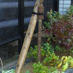 花壇アップ