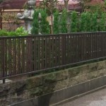 カイズカイブキ生垣