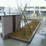 玄関前の植栽