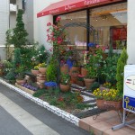 ローズアーチの花壇