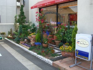 ローズアーチの花壇