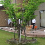バーベキューテラス施工前