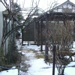 before1