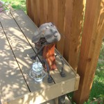 犬