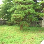 ビフォア2