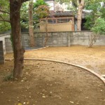 剪定と伐採2