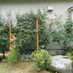 DSCN0295