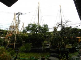 DSCN0932
