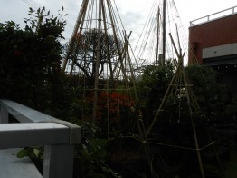 DSCN0933