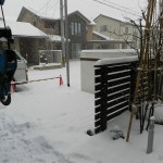 積雪