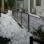 落雪
