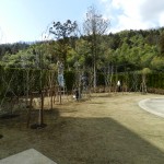 樹木2