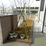 DSCN1306