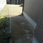 ネコ撃退