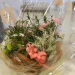 寄せ植え