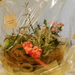 寄せ植え2