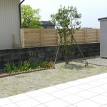 ソヨゴと芝生