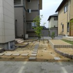 ハナミズキ　庭