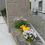 花壇