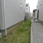 DSCN2536