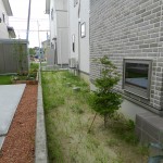 化粧砂利施工前
