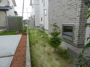 DSCN2540