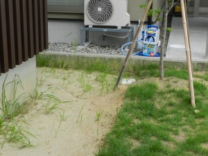 DSCN2541