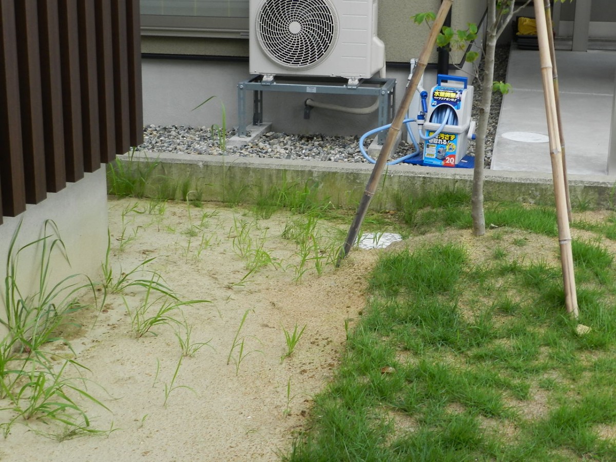 庭の砂利と芝生 レンガで仕切る 富山県 エクステリア 外構 庭工房sekitoh