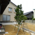 ステップ