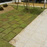 芝生