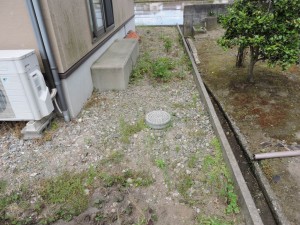 DSCN31351