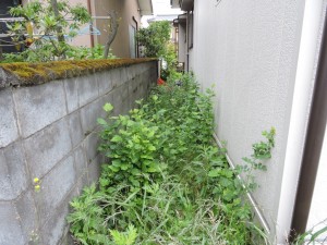 DSCN3155
