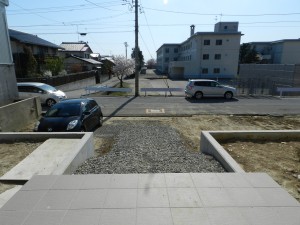 DSCN6336