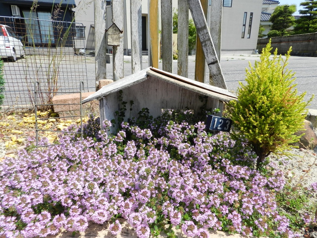 憧れのハーブガーデンをはじめましょう 富山県 エクステリア 外構 庭工房sekitoh
