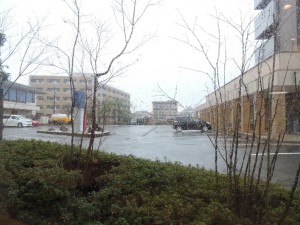 DSCN68561