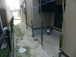 DSCN8432