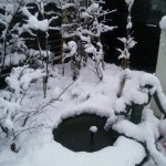 雪景色(T_T)