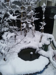 雪景色(T_T)