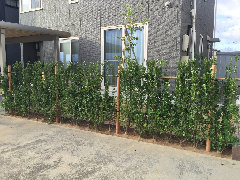 理想のお庭造り 風 日差しに強い生垣 富山市 富山県 エクステリア 外構 庭工房sekitoh