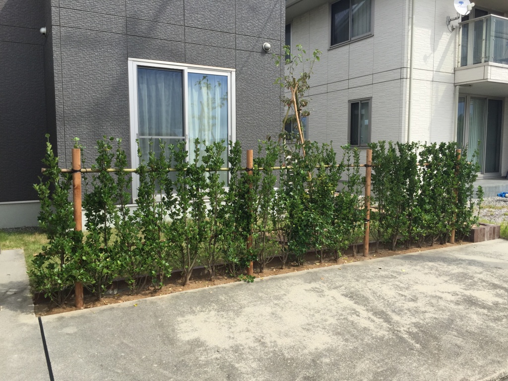 理想のお庭造り 風 日差しに強い生垣 富山市 富山県 エクステリア 外構 庭工房sekitoh