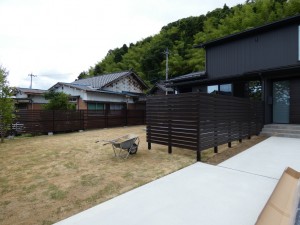 張りたての芝生