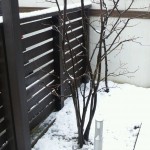 事務所の雪